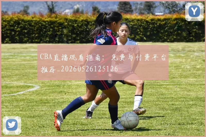 CBA直播观看指南：免费与付费平台推荐_20260526125126